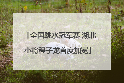 全国跳水冠军赛 湖北小将程子龙首度加冕