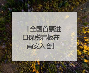 全国首票进口保税岩板在南安入仓