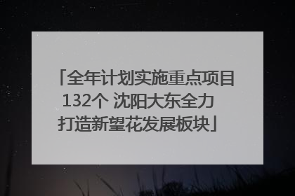 全年计划实施重点项目132个 沈阳大东全力打造新望花发展板块