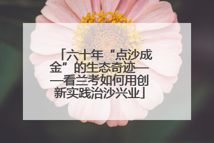 六十年“点沙成金”的生态奇迹——看兰考如何用创新实践治沙兴业
