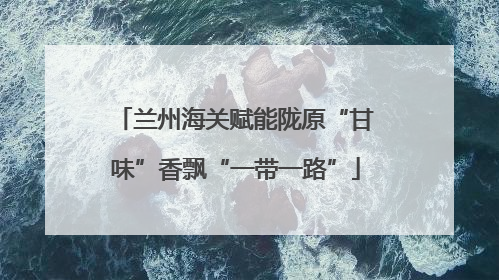 兰州海关赋能陇原“甘味”香飘“一带一路”