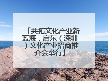 共拓文化产业新蓝海，启东（深圳）文化产业招商推介会举行