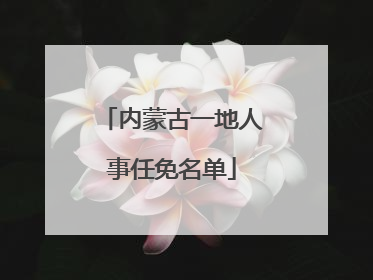 内蒙古一地人事任免名单