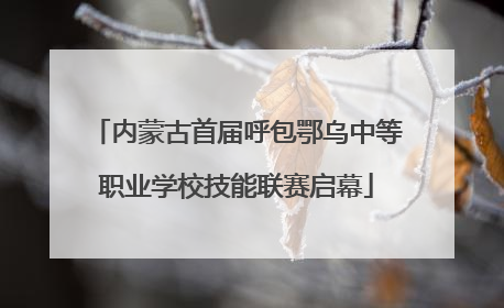 内蒙古首届呼包鄂乌中等职业学校技能联赛启幕