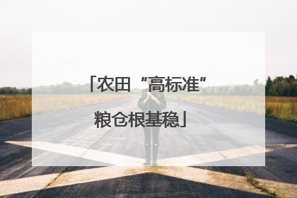 农田“高标准” 粮仓根基稳
