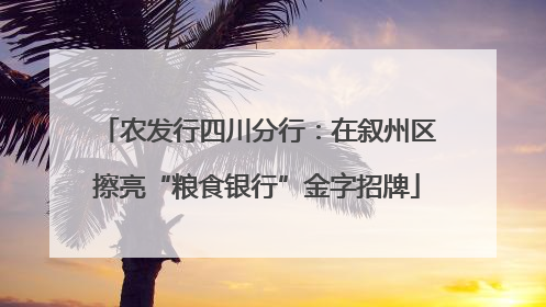 农发行四川分行：在叙州区擦亮“粮食银行”金字招牌