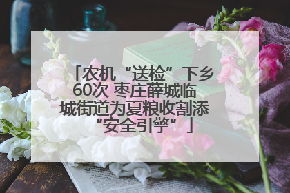 农机“送检”下乡60次 枣庄薛城临城街道为夏粮收割添“安全引擎”