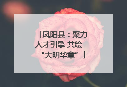 凤阳县：聚力人才引擎 共绘“大明华章”