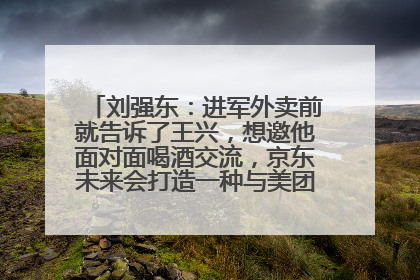 刘强东：进军外卖前就告诉了王兴，想邀他面对面喝酒交流，京东未来会打造一种与美团不同的商业模式