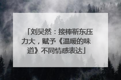 刘昊然：接棒靳东压力大，赋予《温暖的味道》不同情感表达
