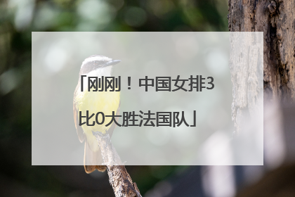 刚刚！中国女排3比0大胜法国队