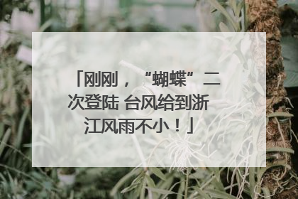 刚刚，“蝴蝶”二次登陆 台风给到浙江风雨不小！