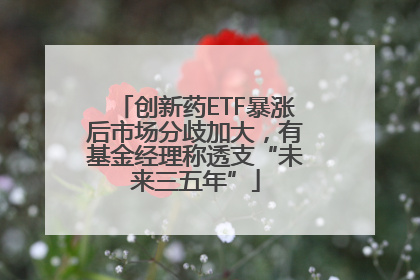 创新药ETF暴涨后市场分歧加大，有基金经理称透支“未来三五年”