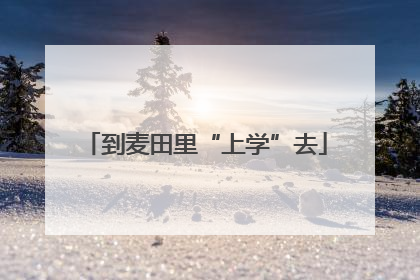 到麦田里“上学”去