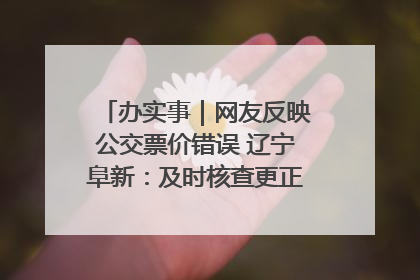 办实事｜网友反映公交票价错误 辽宁阜新：及时核查更正 加强实时巡检