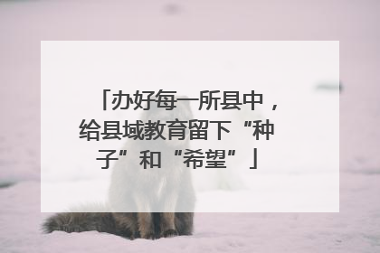 办好每一所县中，给县域教育留下“种子”和“希望”