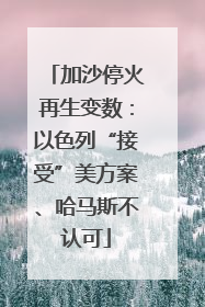 加沙停火再生变数：以色列“接受”美方案、哈马斯不认可