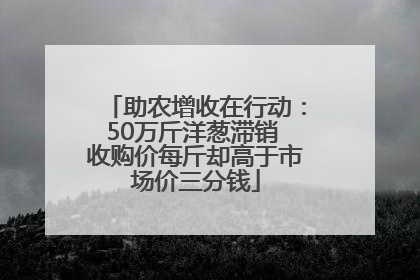 助农增收在行动：50万斤洋葱滞销 收购价每斤却高于市场价三分钱