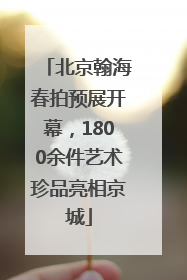 北京翰海春拍预展开幕，1800余件艺术珍品亮相京城