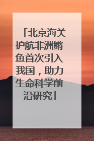 北京海关护航非洲鳉鱼首次引入我国，助力生命科学前沿研究