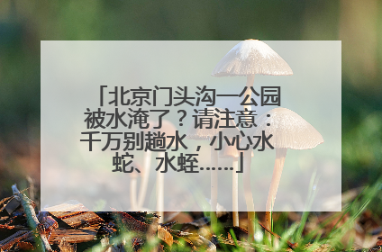 北京门头沟一公园被水淹了？请注意：千万别趟水，小心水蛇、水蛭……