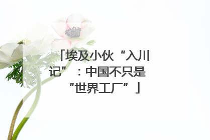 埃及小伙“入川记”：中国不只是“世界工厂”