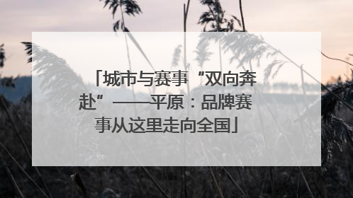 城市与赛事“双向奔赴”——平原：品牌赛事从这里走向全国