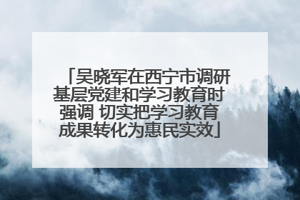 吴晓军在西宁市调研基层党建和学习教育时强调 切实把学习教育成果转化为惠民实效