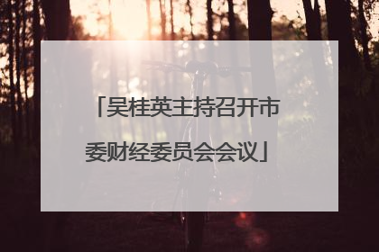 吴桂英主持召开市委财经委员会会议