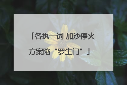 各执一词 加沙停火方案陷“罗生门”