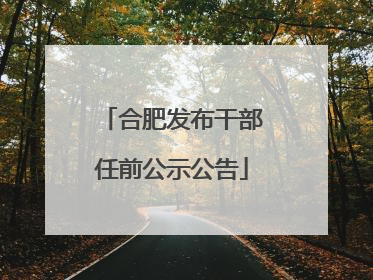 合肥发布干部任前公示公告