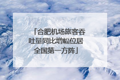 合肥机场旅客吞吐量同比增幅位居全国第一方阵