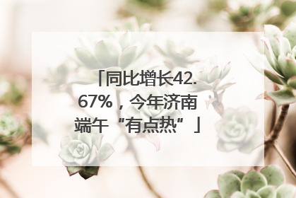 同比增长42.67%，今年济南端午“有点热”