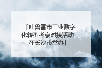 吐鲁番市工业数字化转型考察对接活动在长沙市举办