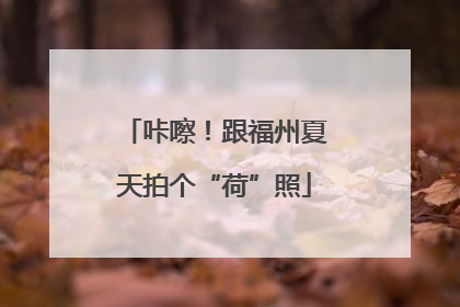 咔嚓！跟福州夏天拍个“荷”照