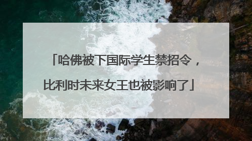 哈佛被下国际学生禁招令，比利时未来女王也被影响了