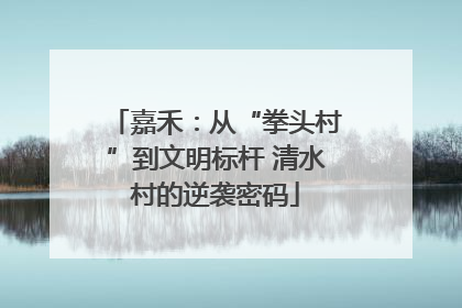 嘉禾：从“拳头村”到文明标杆 清水村的逆袭密码