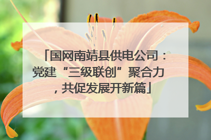 国网南靖县供电公司：党建“三级联创”聚合力，共促发展开新篇