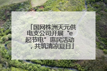 国网株洲天元供电支公司开展“e起节电”惠民活动，共筑清凉夏日