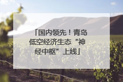 国内领先！青岛低空经济生态“神经中枢”上线