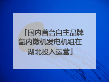 国内首台自主品牌氢内燃机发电机组在湖北投入运营