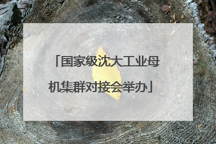 国家级沈大工业母机集群对接会举办