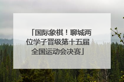 国际象棋！聊城两位学子晋级第十五届全国运动会决赛