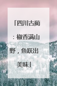 四川古蔺：椒香满山野，鱼跃出美味