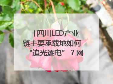 四川LED产业链主要承载地如何“追光逐电”？网络名人走进攀枝花找答案｜网络名人四川行
