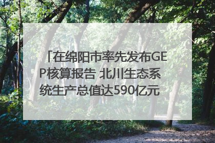 在绵阳市率先发布GEP核算报告 北川生态系统生产总值达590亿元｜新闻发布最前线