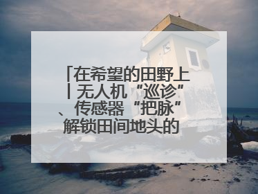 在希望的田野上丨无人机“巡诊”、传感器“把脉” 解锁田间地头的丰收密码
