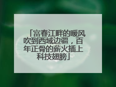 富春江畔的暖风吹到西域边疆，百年正骨的薪火插上科技翅膀
