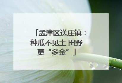 孟津区送庄镇：种瓜不见土 田野更“多金”