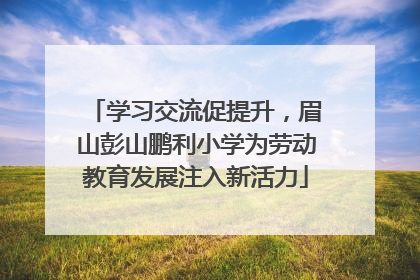 学习交流促提升，眉山彭山鹏利小学为劳动教育发展注入新活力